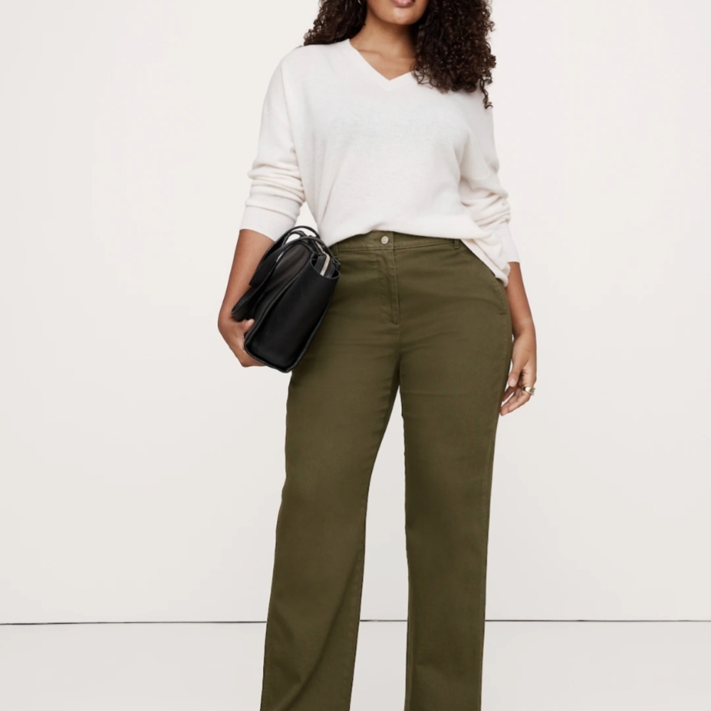 Banana Republic Olive Wide Leg Pants